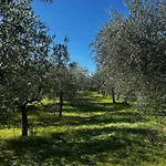 La Dimora Di Sandra Montefalco, Casa Tra Gli Ulivi A Montefalco *