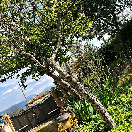 La Dimora Di Sandra Montefalco, Casa Tra Gli Ulivi A * 蒙特法尔科