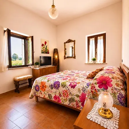 La Dimora Di Sandra Montefalco, Casa Tra Gli Ulivi A * 蒙特法尔科