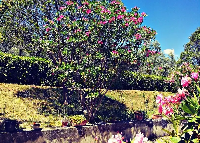 Apartment La Dimora Di Sandra In Umbria A