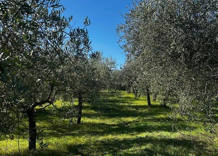 La Dimora Di Sandra In Umbria A *