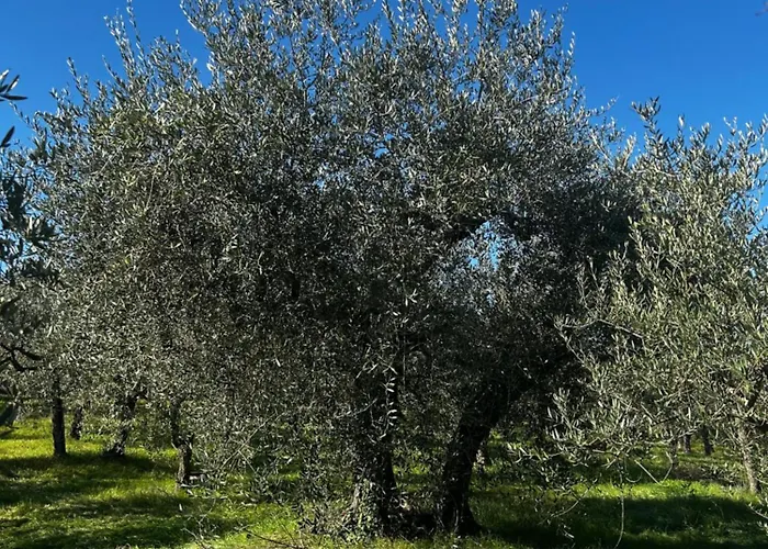 Apartamento La Dimora Di Sandra In Umbria A *