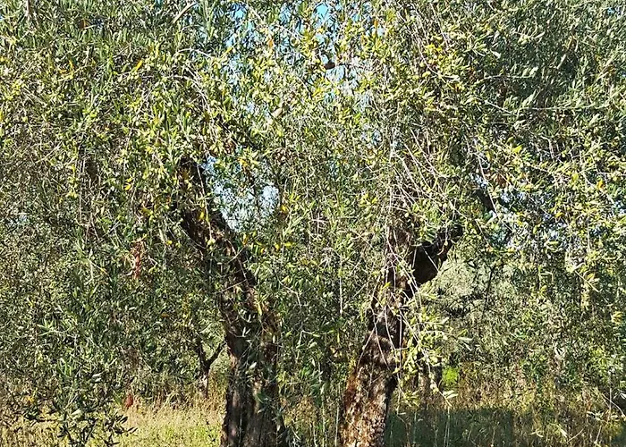 La Dimora Di Sandra In Umbria A Apartamento Montefalco
