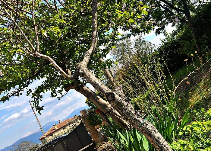 La Dimora Di Sandra In Umbria A * Montefalco